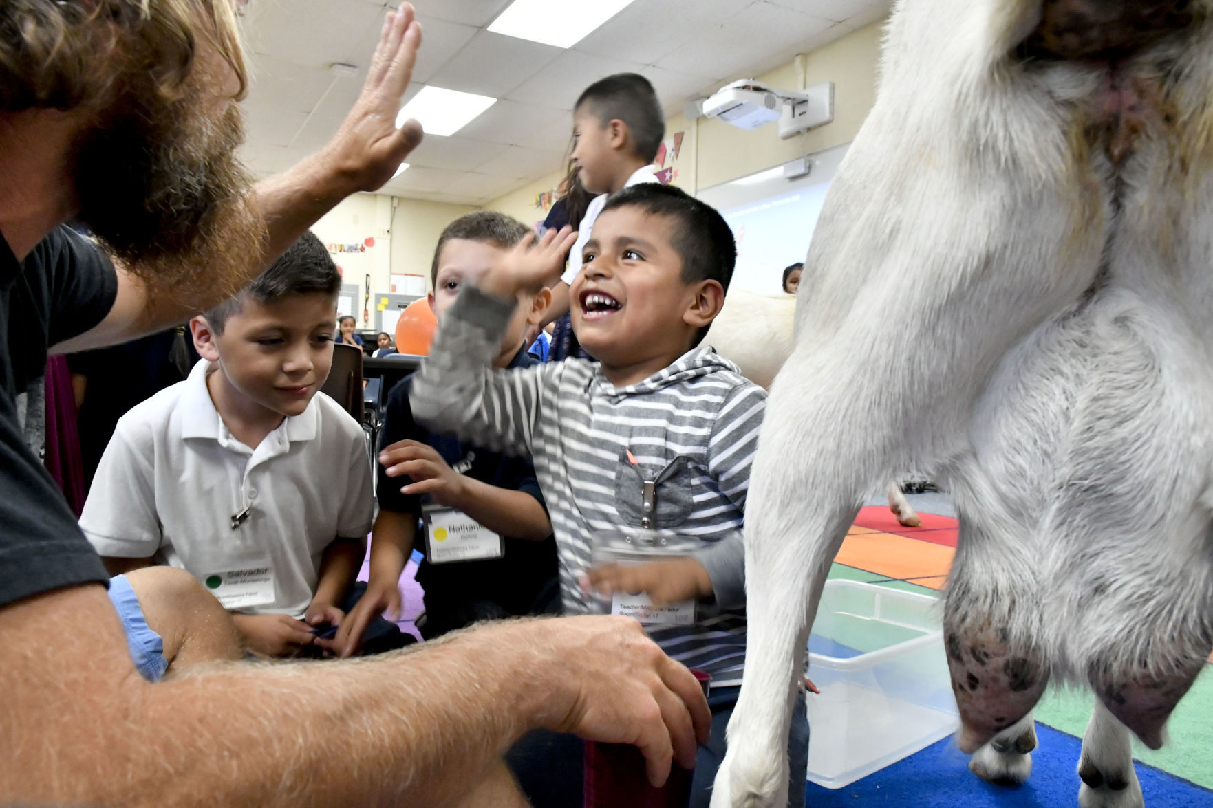 092618 Pismo goats at Fairlawn 09.jpg